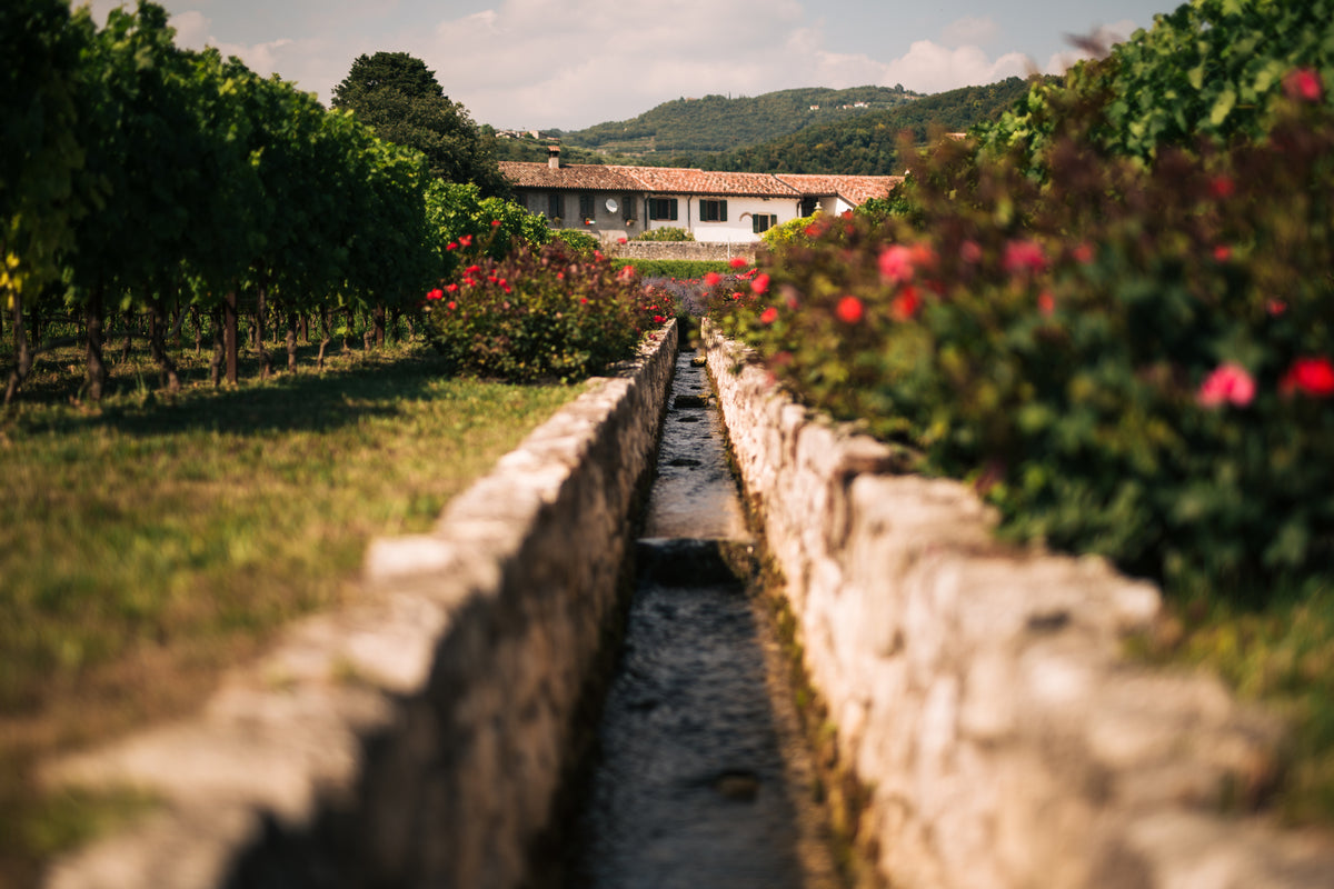 Bertani Wine Tasting Dinner | Nicholson Muir | Boynton Beach ...
